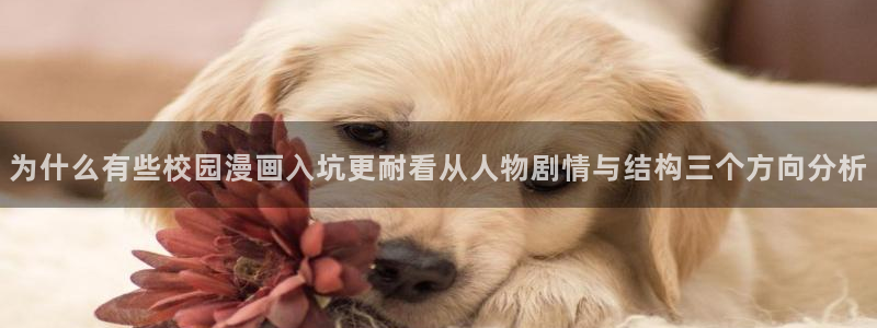 樱花日语零基础入门